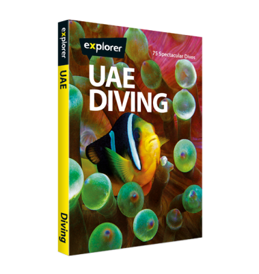 UAE Diving