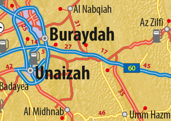 Saudi Arabia Wall Map