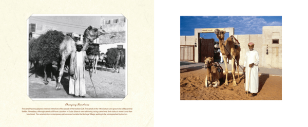 Dubai Creek: Past & Present