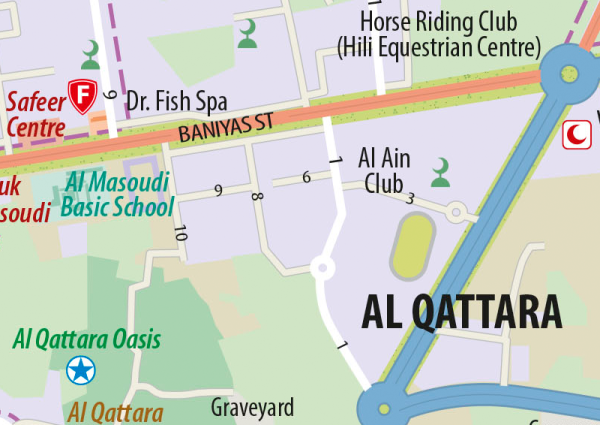 Al Ain Wall Map